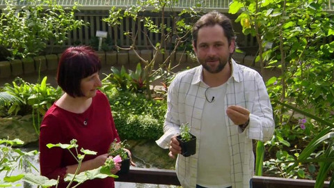 Polopatě - 19. března 2017