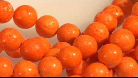 Kultura.cz - 18. října 2009