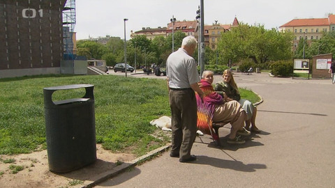 Černé ovce - 13. října 2021