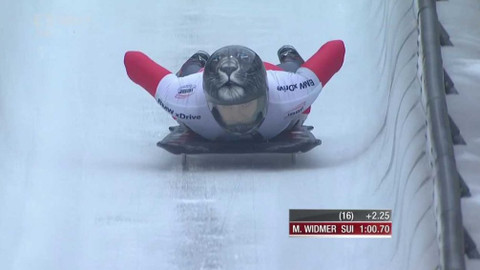 Světový pohár v bobech a skeletonu - Německo - Winterberg