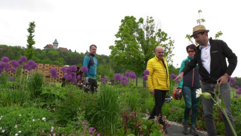 Cyklotoulky - Region Trnava