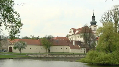 Z metropole - 11. června 2016