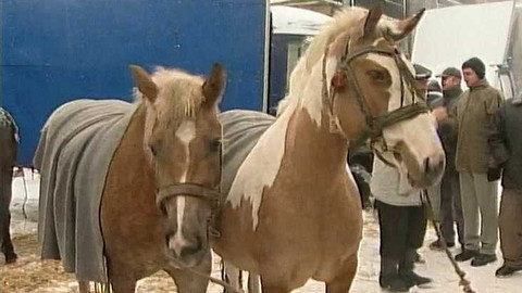 Objektiv - 4. dubna 2004