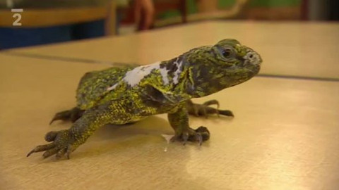 Přidej se - Jsme jedné krve