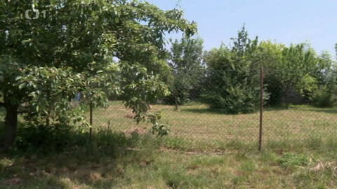 Černé ovce - 30. října 2023