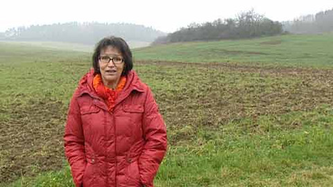 Chcete mě? - 9. prosince 2012