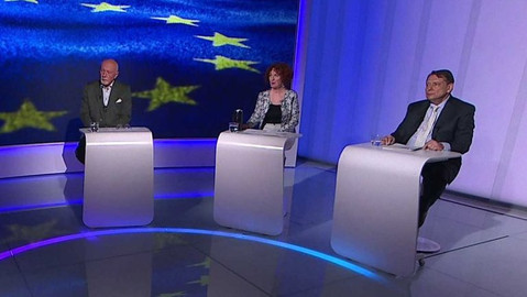 Politické spektrum - Volby do Evropského parlamentu 2024