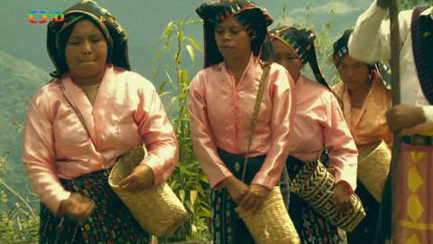 Cestohrátky - Flores