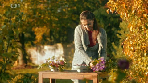 Všechno, co mám ráda - Epizoda 43/15