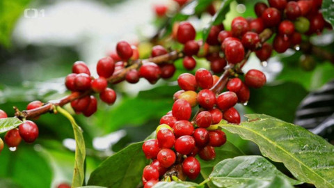 Polopatě - 12. září 2021