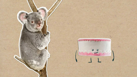 To je něco! - Proč koalové v jednom kuse spí?