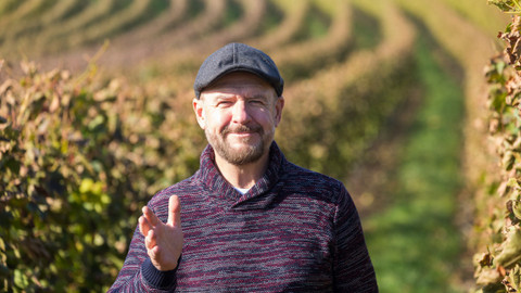 Krajinou vína - 9/10 Tramín červený - Čejkovicko a Hovoransko