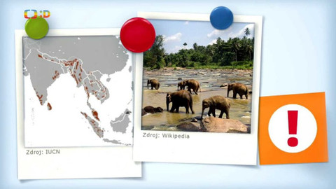 Zprávičky - 12. srpna 2018