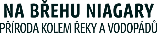Na břehu Niagary - příroda kolem řeky a vodopádů