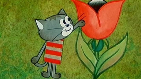 Byla jednou koťata - 1/13 Kočičí koření