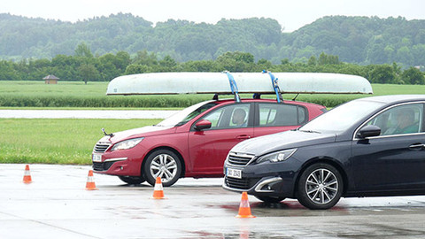 Besipky - Jedeme na dovolenou