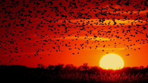 Poklady světa - Dům Rietvelda a Schroederové v Utrechtu