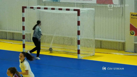 Olympiáda dětí a mládeže - Házená