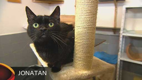 Chcete mě? - Chcete je?