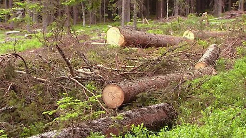 Nedej se! - 20 let pořadu Nedej se