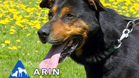 Chcete mě? - Chcete je?