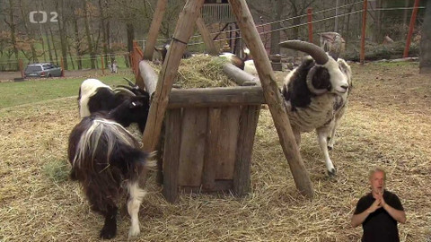 Chcete mě? - 9. června 2019