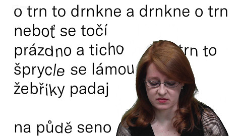 Jedna báseň - Wanda Heinrichová