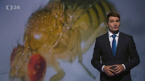 Věda 24 - 8. října 2017