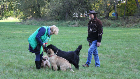 Kočka není pes - Návrat za Macíkem a tvrdohlavý Bengie