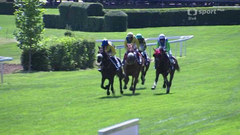 Velká pardubická - II. kvalifikace na 135. Velkou pardubickou se Slavia pojišťovnou