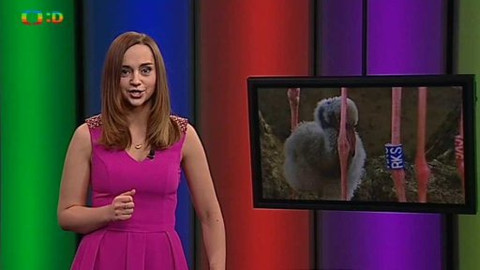 Zprávičky - 14. března 2015