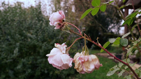 Polopatě - 16. listopadu