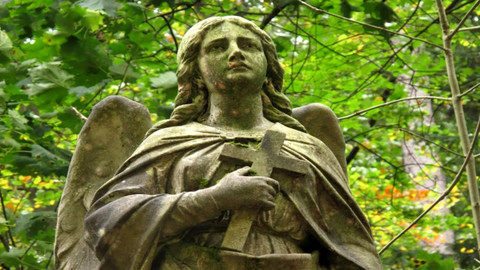 Artefakta - Jaký má smysl adopce opuštěných hrobů na pražských hřbitovech?