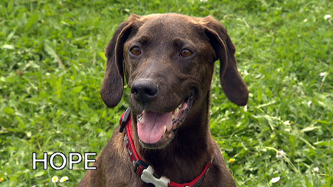 Chcete mě? - Chcete je?