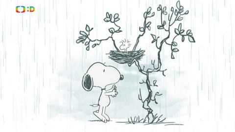 Snoopy - Technické problémy