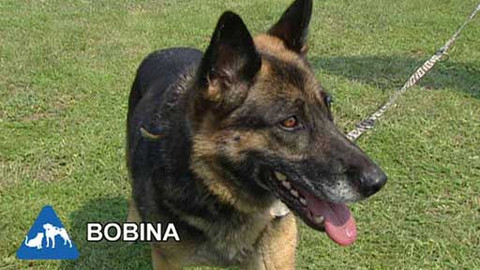 Chcete mě? - Chcete je?