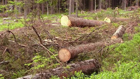 Nedej se! - 20 let pořadu Nedej se