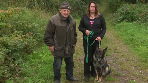 Chcete mě? - Chcete je?