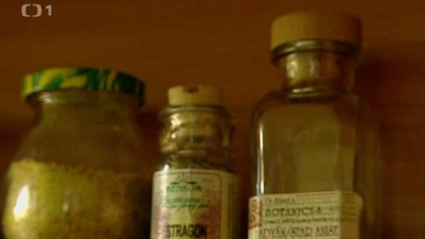 Bydlení je hra - 23. listopadu 2006