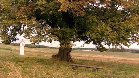 Náš venkov - Proč investovat do krajiny?