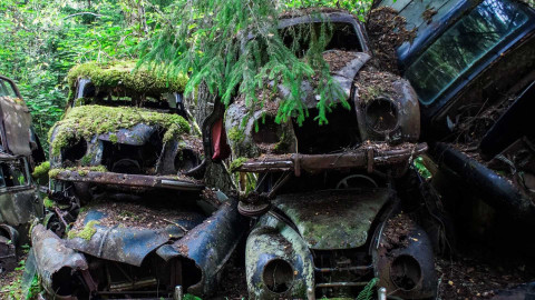 Gejzír - 27. února