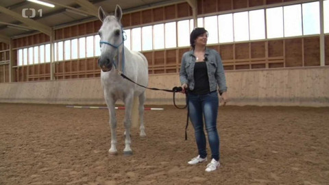 Gejzír - 10. listopadu 2016