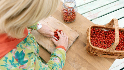 Kouzelné bylinky - Růžové brýle