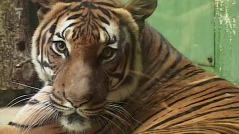 Toulavá kamera - 26. června 2011