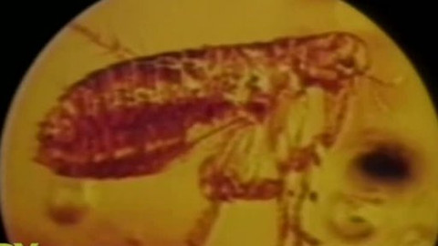 Kdy to bylo - Kdy to bylo - soutěžní otázka