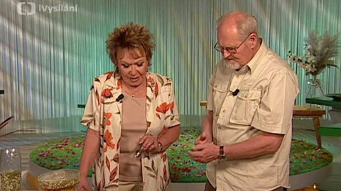 Dobrá rada nad zlato - 19. května 2007