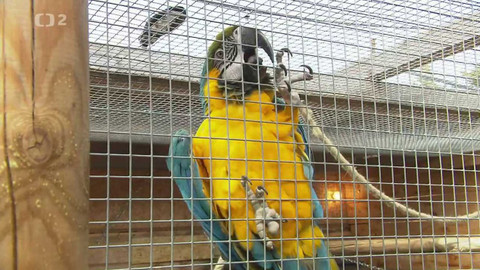 Nedej se! - Obchod s exotikou