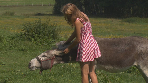 Chcete mě? - 3. listopadu 2019