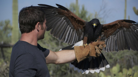60 zvířecích zabijáků - Epizoda 15/20
