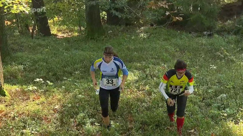 Sportovní běh a chůze - M ČR štafet a klubů